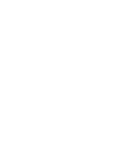 Naya Logo